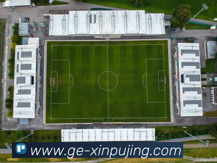 新葡京娱乐平台生态图